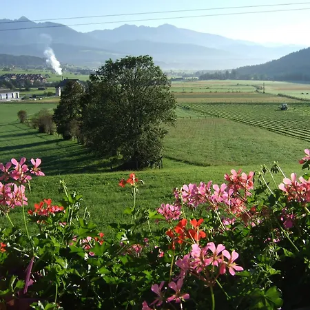Apartment Trattner Mauterndorf (Salzburg)