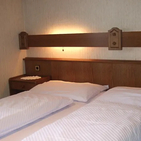 Апартаменты Trattner *