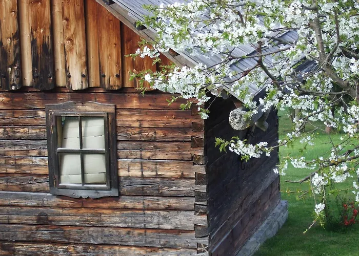 Trattner Appartamento